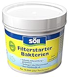 Söll 80587 FilterstarterBakterien, 100 g - hochreine Mikroorganismen, Filterbakterien für umfassende Filterwirkung im Gartenteich Fischteich Koiteich