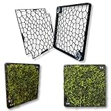 Mooswand Aquarium – Rückwand-Gitter zum Begrünen – Slim Design mit Saugnapf – für Moos & Aufsitzerpflanzen – Aquarium Pflanzen Zubehör (Saugnapfbefestigung)