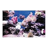 JFNKLFG Aquarium Rückwand PVC Aquarium Dekoration Poster Doppel Seite 3D Hintergrund for Ozean Pflanzen Landschaft Malerei Aufkleber Dekor Ornament Wanddekoration(RED Color,50x90cm)