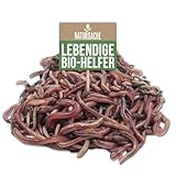 KOMPOSTWÜRMER kaufen - 500 Stück/Sack - Kompoststarter Regenwurm Set - Gartenwürmer/Regenwürmer Eisenia-Mix lebend - aktive Würmer für Kompost, Komposter, Wurmkomposter, Wurmkiste und Wurmfarm