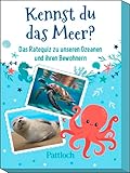 Kennst du das Meer?: Das Ratequiz zu unseren Ozeanen und ihren Bewohnern | Kinderquiz ab 6 Jahren | 50 lustige Quiz-Karten (Kinderquiz für schlaue Kids)