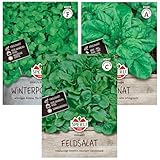 Wintergemüse Set | 3 Bewährte Sorten | Extra Frosthart | Feldsalat Samen Winterhart | Schnellwachsend | Spinat Winterhart | Ertragreich | Winterportulak Samen | Wintersalat