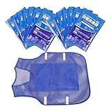 FIXOSHEE Outdoor Kühlweste Herren Damen mit Austauschbaren Eisbeuteln Leichte Polyester Arbeitsweste Sommerliche Schutzkleidung für Bau Reinigung und Außeneinsatz