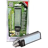 Exo Terra energieeffiziente LED Lampe Forest Canopy, für das Wachstum von tropischen Pflanzen, für Terrarien, mit integriertem Vorschaltgerät, 8W, E27, 6500 K, 1 Stück (1er Pack)