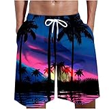 Cargo Shorts Herren Sommer Baumwolle Boardshorts Freizeit Regular Fit Herrenshorts Komfortable Basic Wanderhose Elastische Bedruckte Sweatpants Passform Cargo Short retourenkauf Angebote