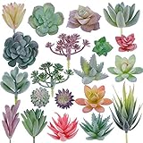 CEWOR künstliche beflockte Sukkulenten, Mini-Sukkulenten, Premium-Dekoration für Heimwerker, Basteln, Zuhause, Blumenwand, Garten, Bürodekoration (ungetopft), 20 Stück