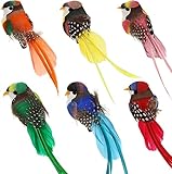 Diyxisk künstliche Deko Vögel, Osterdeko Geschenk, Vogel im 6 Stücke Pack, Frühlingsdeko, Weihnachtsdeko für Garten Urlaub Party Hausdeko (6 Farben)