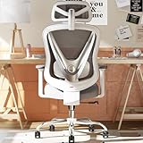 HOLLUDLE Ergonomischer Bürostuhl mit 3D Lendenstütze & 3D verstellbaren Armlehnen – V-förmiges Rücken-Design, bequemer Schreibtischstuhl für Büro & Zuhause, Weiß