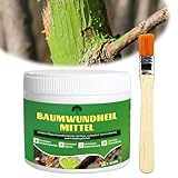 Wundverschluss für Bäume, Baumwachs Wundverschluss mit Pinsel , Baumwachs für Obstbäume, Fördert Die Wundheilung, Bildet Schnell Einen Schutzfilm, Wundverschlussmittel zur Behandlung an Zier (500g)
