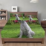 Spannbettlaken 120x200cm Springer Spaniel Spannbetttuch Blumen Bettlaken Boxspringbett mit Gummizug Spannbettuch Mikrofaser für Matratzen von 30 cm Mit 2 Kissenbezüge 80x80 cm