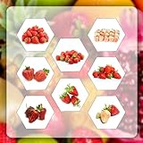 10 pcs erdbeeren samen bio exotische pflanzen samen erdbeersamen erdbeer samen säulenobstbäume bonsai topf obstsamen bio saatgut nachhaltige geschenke für frauen obstbaum pflanztöpfe