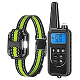 Hunde-Halsband,Hundehalsbänder,Qualitätsware,Klassisches Hundehalsband,Hundehalsband Hund Neuheit,Stilvoll und schön,Leicht einstellbare Kragengröße,Geeignet für alle Arten von Hunden (wv8)