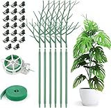 6Pcs Rankhilfe Pflanzenstütze für Zimmerpflanzen, Abnehmbare Pflanzenstäbe Pflanzstabverbinder 70cm Pflanzenkletterstangen mit Orchideenklammern, Drehbinder Pflanzenbinder für Pflanzen