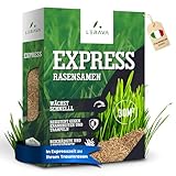 LERAVA® EXPRESS Rasensamen schnellkeimend frühjahr - Premium Samen für Trockenrasen & Schattenrasen - Rasensamen nachsaat für lückenlosen Rasen - Grassamen schnellkeimend - Rasensaat turbo - 30m²
