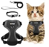 Katzengeschirr Mit Leine Set, Verstellbar Ausbruchsicher Mit Reflektierendem Geschirr, Atmungsaktives Halsband Set für Hunde Und Katzen Auf Spaziergängen (M)
