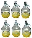 lilawelt24 6 STÜCK 5L Gärballon mit BÜGELVERSCHLUSS und Kunststoffkorb Flasche Glasballon Weinballon Bügelflasche Glasflasche