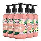 Sagrotan Hygieneseife Belebend und Floral – Feuchtigkeitsspendende Flüssigseife mit floralem Duf – 5 x 300 ml Handseife
