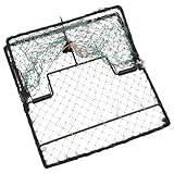 vidaXL Vogelfalle, Lebendfalle für Gärten, Vogelfangnetz für Vögel unschädlich, Vogelnetz Netzfalle Tierfalle Falle Human, Grün Stahl