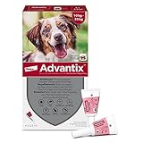 Elanco ADVANTIX Spot on für Hunde 10 kg bis 25 kg, Schutz vor Zecken & Flöhen, wehrt Mücken & Stechfliegen ab, Bevor sie stechen – Der Schutz für Urlaub & Alltag, Wirkung bis zu 4 Wochen, 4 Pipetten