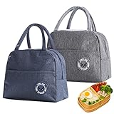 PanBeiQiWEU 2 Stück 6 L isolierte Lunchtasche, thermische Picknicktaschen, lunchbox kühltasche, tragbare Lunchbox Taschenhalter Kühltasche für Männer/Picknick/Schule/Büroarbeit