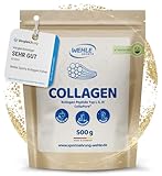 Collagen Pulver - Kollagen Hydrolysat Peptide, Eiweiß-Pulver Geschmacksneutral, Wehle Sports Made in Germany Kollagen Typ 1, 2 & 3 Lift Drink (500g (1er Pack)) - Verpackung kann variieren