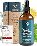 Heldengrün® Raumspray 'Frischemoment' [ECHTE BIO-ÖLE] Dermatologisch getestet - Frische Luft Raumspray - Bio Raumduft mit Minze, Rosmarin & Zitrone - Textil Duftspray & Lufterfrischer