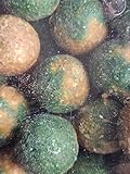 Generisch Waller Knaller Top Secret Knoblauch 30 mm 1 kg Boilies