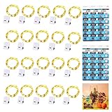 Dooozy 20 Stück Micro LED Lichterkette und 120 Batterie, 2M 20 Led Lichterkette 3 Modi Batterie Kupfer Drahtlichterkette Wasserfest für Weihnachten Außen Garten, Innen Hochzeit, Party(Warm Weiß)