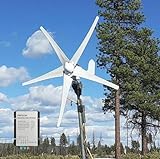500W Horizontal Windkraftanlage 12V 24V Windturbinen 3-Phasen Generator 5-Blätter Windgenerator Komplettanlage für Stromergänzung,mit MPPT Laderegler (12, Volt)