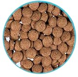 500 ml - 1,4 L (350 g - 1 KG) Bodentabletten FD Futtertabletten Welsfutter Garnelenfutter Fischfutter für bodenfressende Fische und Garnelen (1,4 Liter / 1 kg)