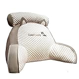 PW TOOLS Ice Silk Cute Reading Pillow, rückenkissen mit armlehnen, lesekissen für Bett, Sofa, bettsessel Rückenlehnenkissen , Rückenstütze, Kissengeschenke für Ehemann,Freund, 70×50×25cm