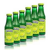 Hitchcock - 6er Pack Premium Limettensaft Pur 100% Direktsaft - Saft aus ca. 20 Limetten in 0,5 Liter Glasflasche