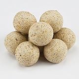 TOP SECRET Carp Dream Boilies 16mm Buttervanille 1Kg