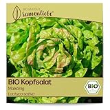 Samenliebe BIO Kopfsalat Samen alte Sorte Maikönig butterzarter Wintersalat Salat grün rot 500 Samen samenfestes Gemüse Saatgut für Gewächshaus Freiland und Balkon BIO Gemüsesamen