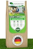 Rasensamen Sport und Spielrasen 0,5kg extra robust - Schnell wachsender Nachsaat Rasen - Rasensaat Spiel- und Sportrasen Made in Germany - Premium Grassamen schnellkeimend - Rasensamen schnellkeimend