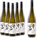 Goodvines Riesling alkoholfrei – Deutscher Weißwein 0,0% vol – vegan, kalorienarm & entalkoholisiert – fruchtiger Riesling-Genuss ohne Alkohol – inkl. gratis Weinausgießer (6 Flaschen)