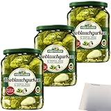 Spreewaldhof Knoblauchgurken mit frischem Dill Zwiebeln und ganzen Knoblauchzehen 3er Pack (3x720g Glas) + usy Block