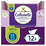 Cottonelle Feuchtes Toilettenpapier, Mein Spa Erlebnis - Seide und Jasmin, Biologisch Abbaubar, Plastikfrei, Wiederverschließbar, Vorteilspack, 12 x 42 Feuchttücher