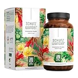 NATURTREU® NAC 600 mg – Premium Antioxidantien-Komplex mit L-Glutathion, Brokkoli-Extrakt und Astaxanthin – Laborgeprüft & produziert in Deutschland – 90 vegane Kapseln