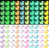 DIYDEC 120 Stück Mini Leuchtend Enten, 10 Farben Kleine Bunte Enten Figuren Miniatur Enten Mini Duck Harz für Dekoration von Miniatur-Landschaftsgärten, Bonsai, Fischbecken und Aquarien verwendet