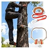 baumklettern Spike steigeisen Steigeisenschuhe Für Baumklettern, rutschfeste Fußschnalle Für Elektriker Am Holzmast, 250 350 400 450 500 Mm Durchmesser, Stahl-Steigeisen(Model 250mm)