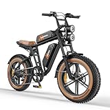 HillMiles MileZoom1 Elektrofahrrad Für Erwachsene Mit Abnehmbarem 1664Wh Akku, Max Reichweite 260 km,Höchstgeschwindigkeit 25 km/h, 20 * 4.0 Fat Reifen, 7-Gang vollgefedertem E-Bike für jedes Gelände