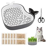 Katzengras Samen Set,15g x 10 Packungen,mit Katzengras Keimschale,Sprossen Anzuchtset