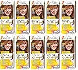 (Pack of 10) Palette Color Shampoo 7-554 (317) Nut Blond Hair Color - Full Box - with English instruction leaflet