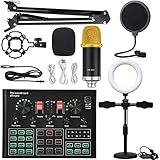 LERORA DJ-Equipment für die Party BM900K Lied KTV Routing Microfon Sound Card Card Set Kondensator Mikrofon Mobiltelefon Computer Sound Card Live Sendung Full Set (Color : 1 UK)
