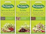 bioSnacky Sprossen-Mix | Sprossen-Broccoli, Rotklee, Radieschen | Bio Keimsprossen