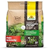 Neudorff NeudoHum Grünpflanzen- & PalmenErde – Torffreie Bio Erde, fördert gesunde Palmen und Grünpflanzen mit grünen Blättern wie z.B. Monstera, 10 Liter