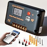 ECO-WORTHY 30A laderegler solar 12v /24v PWM mit Bluetooth & APP Überwachung, Intelligenter Batterie Controller für Solarpanel mit 2 USB-Anschlüssen für AGM/LiFePO4/GEL im Wohnmobil Solar System