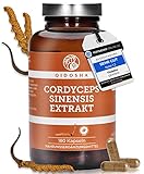 QIDOSHA® Cordyceps sinensis 15:1 Extrakt Kapseln, TESTSIEGER 02/2023*, 180 Stk, 2000mg Raupenpilz (CS-4) Extrakt pro Tagesdosis, 500mg je Kapsel, laborgeprueft, Cordyceps Kapseln hochdosiert