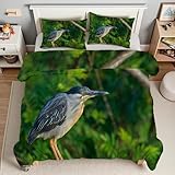 YZQGLHP Bettdecke 220x240 grüner Reiher Wende Steppdecke GrüNer Wald Bettdecke ohne Bezug, Weiche Microfaser, 4 Jahreszeiten Bettdecken mit 2 Kissenbezug 80x80cm